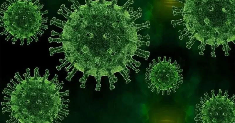 Veba geri mi dönüyor? Uzmanı uyardı: Bu belirtilere dikkat