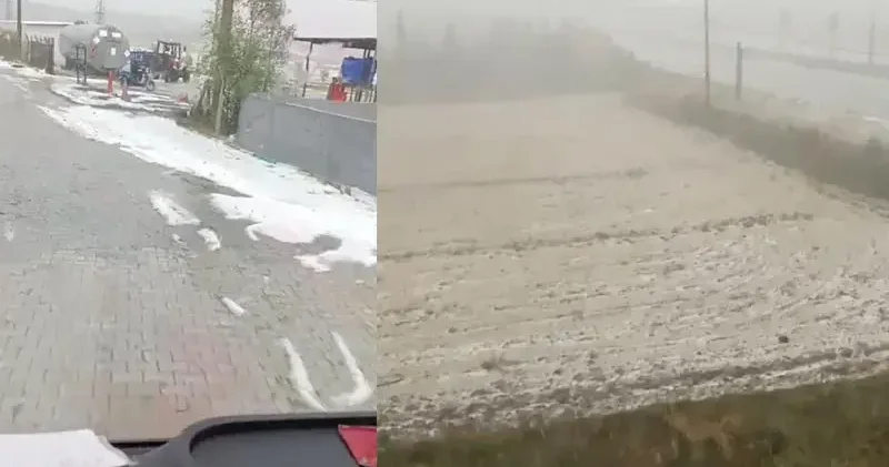 Kuvvetli yağış ve dolu nedeniyle tarım arazileri zarar gördü