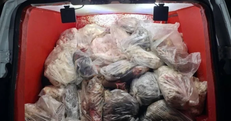 Diyarbakır da sağlıksız 820 kilo iç yağı ve sakatat ele geçirildi