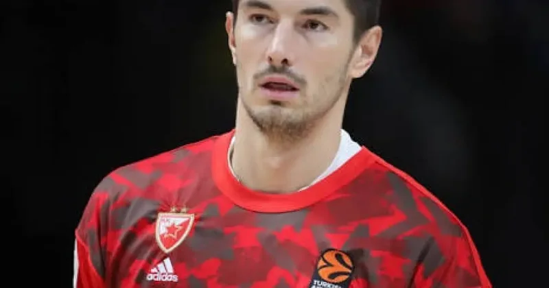 Bahçeşehir Koleji Luka Mitrovic i renklerine bağladı1