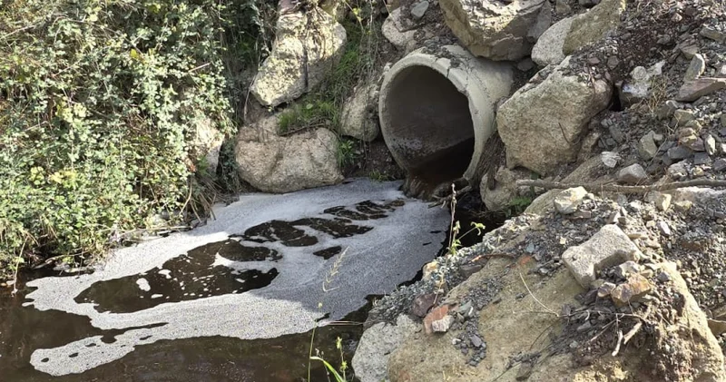 Marmara da kirliliğe yol açtı! Ceza yağdı! Son dakika haberleri