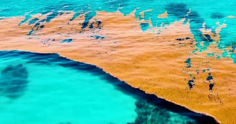 Yeryüzünde karaya değmeyen tek bir deniz var: Kıyısı yok Sözcü Gazetesi