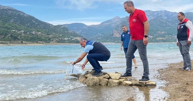 Adana da göl ve göletlere 665 bin sazan yavrusu bırakıldı Adana Haberleri Habertürk Yerel Haberler