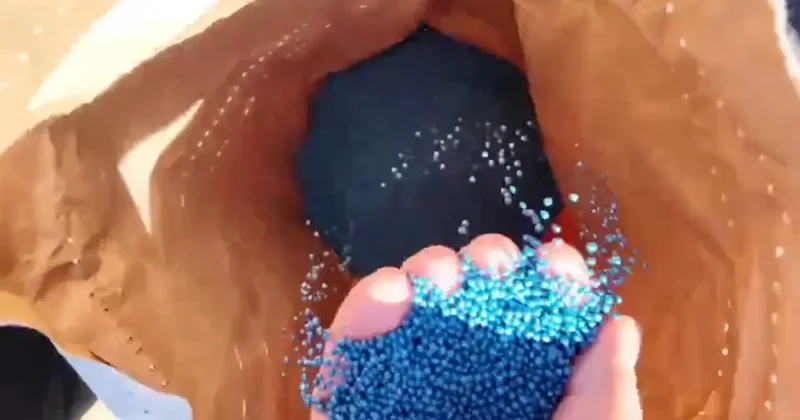 Tarım tarihini baştan yazdılar! Toprağı sürmeden ekim yapıp rekor kırdılar