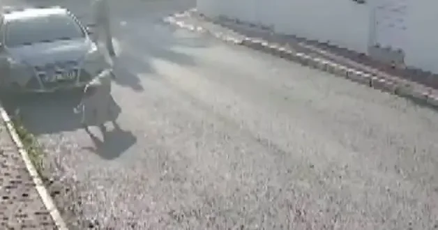 Kendisine saldıran köpeği silahla vuran 83 yaşındaki emekli polis gözaltına alındı