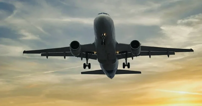 Havayolu devi iflasın eşiğinde: Tüm uçuşlarını durdurdu Sözcü Gazetesi