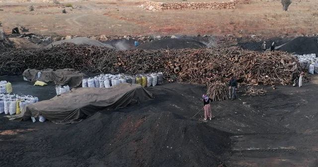 33 yıldır ailece mangal kömürü üretiyorlar Mersin Haberleri