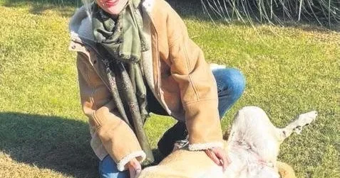 BÜLENT CANKURT Patili canlar için gazino açıyor