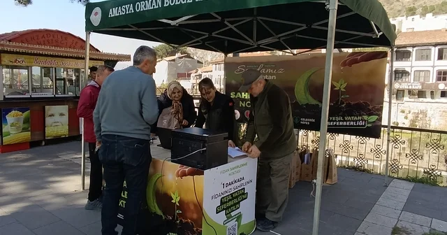 Amasya da vatandaşlara ücretsiz fidan dağıtıldı Amasya Haberleri