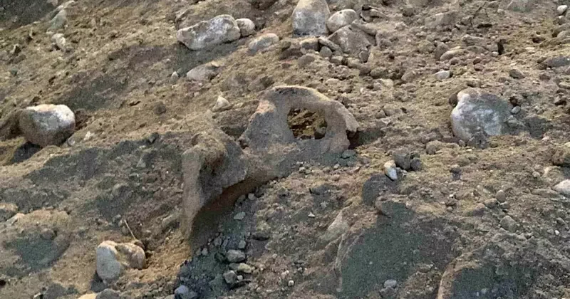 Burdur da Kazı Çalışmasında İnsan Kemikleri Bulundu