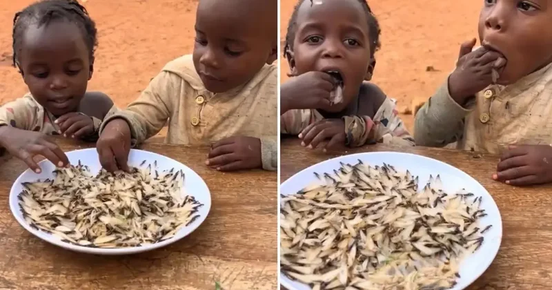 İzleyenler yok artık diyor! Yedikleri şeyin ne olduğunu bir bilseniz