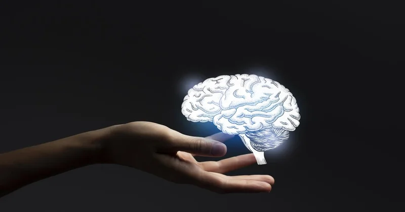 Bilim insanları: Erkek ve kadın beyinlerinde yüzlerce gen farklı çalışıyor