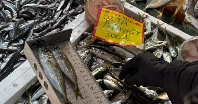 Tekirdağ’da balık tezgahlarına sıkı denetim: Boy ölçümleriyle sürdürülebilir avcılığa destek