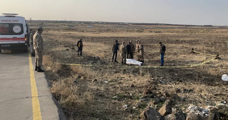 Şanlıurfa da yol kenarında erkek cesedi bulundu: Yakınında çok sayıda boş kovan çıktı