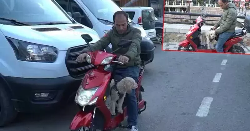 Köpeğini motosikletiyle gezdiriyor