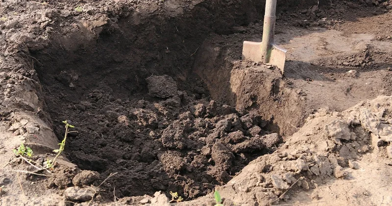 Bahçesini kazarken hayatı değişti: Poşetleri açtıkça milyoner oldu Sözcü Gazetesi