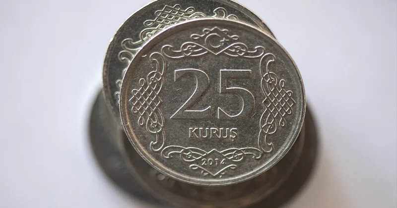 Elinde 25 kuruş olan turnayı gözünden vurdu: Değeri 34 bin 871 TL Sözcü Gazetesi