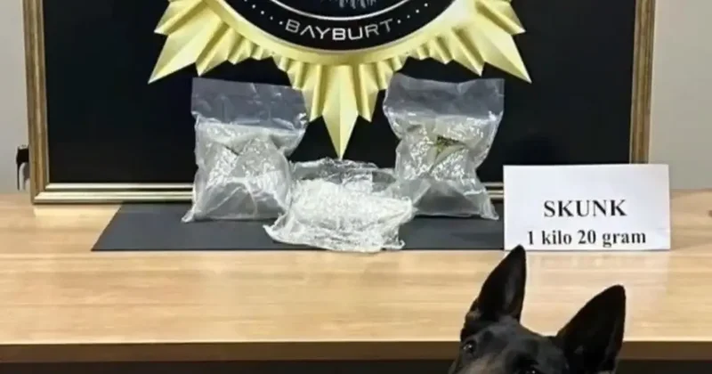 Bayburt’ta bavula yerleştirilmiş uyuşturucu ele geçirildi