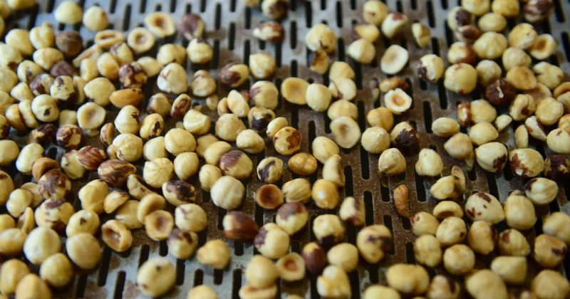 Düzce den AB ülkelerine 15 bin 750 ton iç fındık ihraç edildi