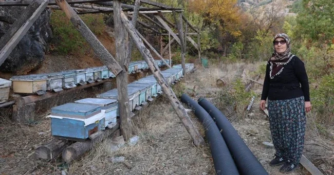 Bölgede sıcaklık 30 derecenin üzerinde! Kışlama için gelmiyorlar Bu yıl ilk kez gördüm, gerçekleşmezse kayıplar artacak