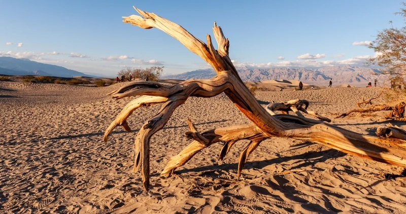 Korku ve merak arasında bir yolculuk: Dünyanın en tehlikeli 10 yeri!