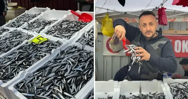 Zonguldak ta hamsi 50 liradan 150 liraya yükseldi: 3 aydır herkes hamsi yiyor Aktüel Haberleri