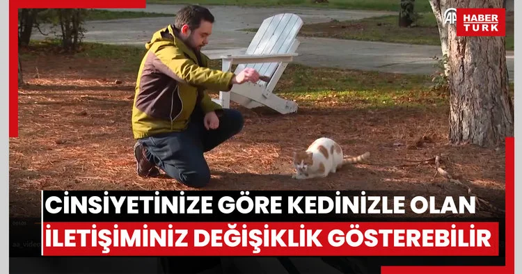 Kedilerin insanlarla iletişimi sahibinin cinsiyetine göre değişiklik gösterebiliyor