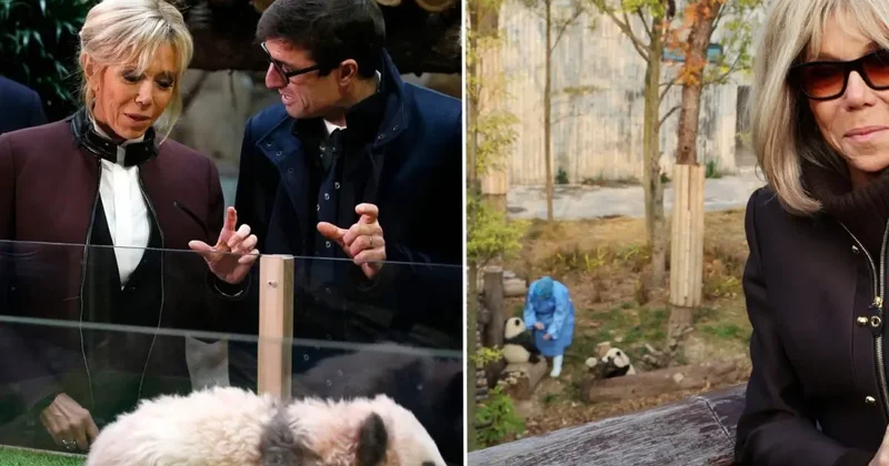 First Lady Macron, eski dostu panda ile Çin de buluştu