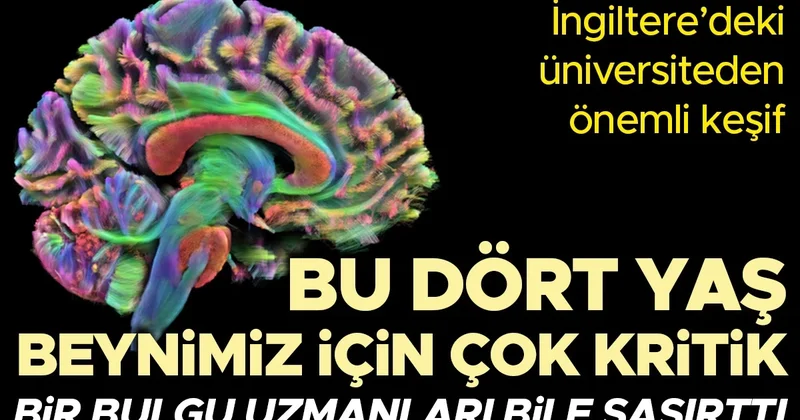 Bilim insanlarından önemli keşif: Bu dört yaş beynimiz için çok kritik! Bir bulgu uzmanları bile şaşırttı