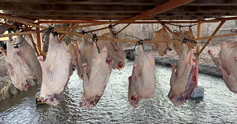 Bölge halkının beklediği dönem geldi: Tanesini 6 bin liraya satıyorlar