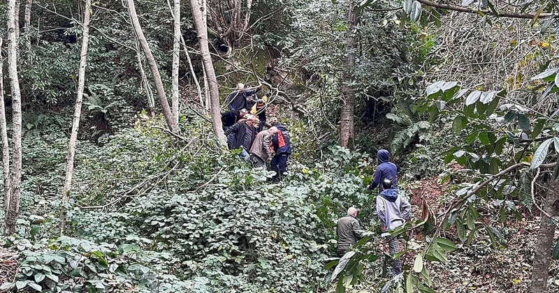 Kestiği ağaç üzerine devrildi Sözcü Gazetesi