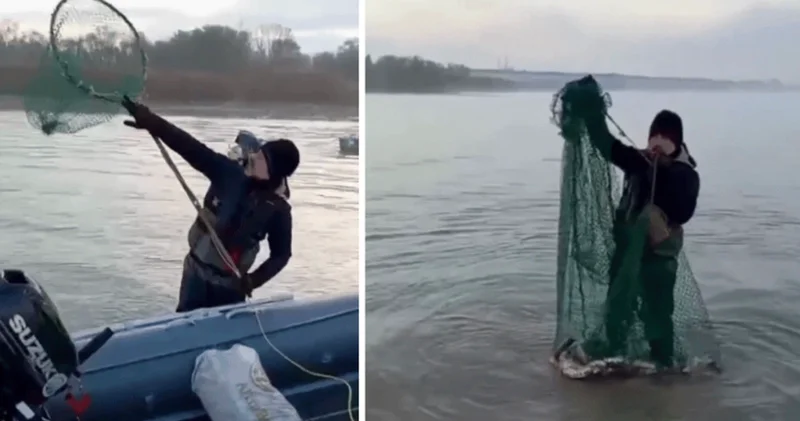 Elektrikli şok cihazıyla denizlerde toplu katliam!