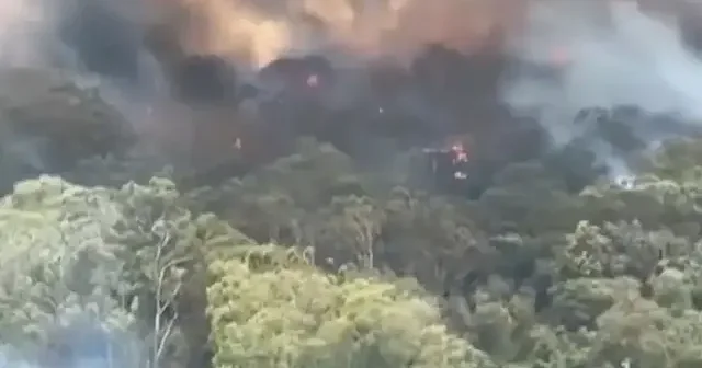 Avustralya başlayan orman yangınları hızla yayılıyor: 16 ev küle döndü VİDEO İZLE