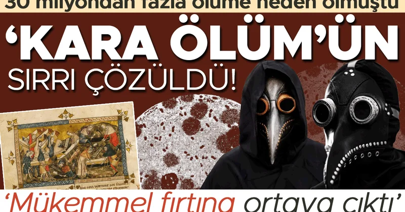 30 milyondan fazla ölüme neden olmuştu: ‘Kara Ölüm’ün sırrı çözüldü! Salgını hızlandıran mükemmel fırtına ortaya çıktı