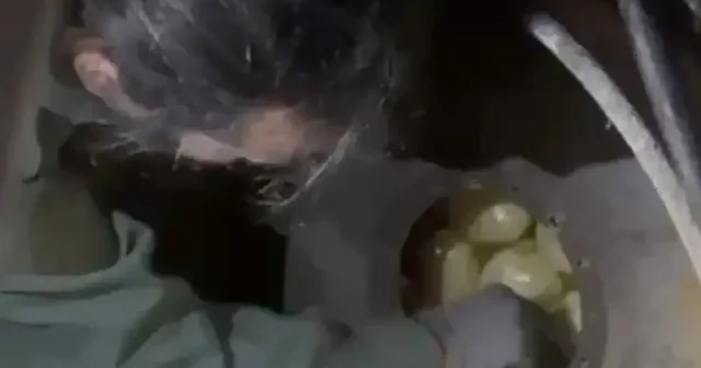 Tacirlerin zulası narkotik ekiplerinin dikkatinden kaçmadı: Uyuşturucular asfalt silindirinin içine saklanmış VİDEO İZLE