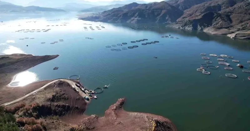 Denizi olmayan Tokat ın somonları dünya sofralarına ulaşıyor