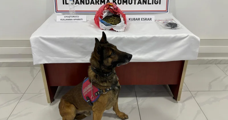 Kayseri’de jandarmadan uyuşturucu baskını Kayseri Haberleri