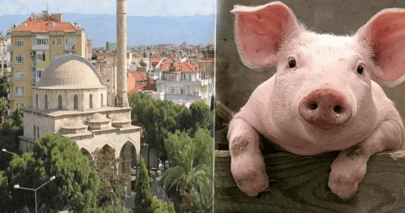 Babamın hayrına diyerek cami önünde 3 bin kişiye domuz eti yedirmiş! Sözcü Gazetesi