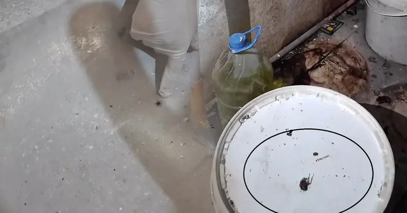 Burası bir fırın! Görüntüler ekipleri bile şoke etti: Fareyi geçtim, yılan çıkacak