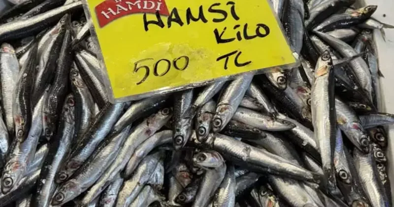 Balıkta yokluk senesi! Kilosu 250 TL’den başlıyor