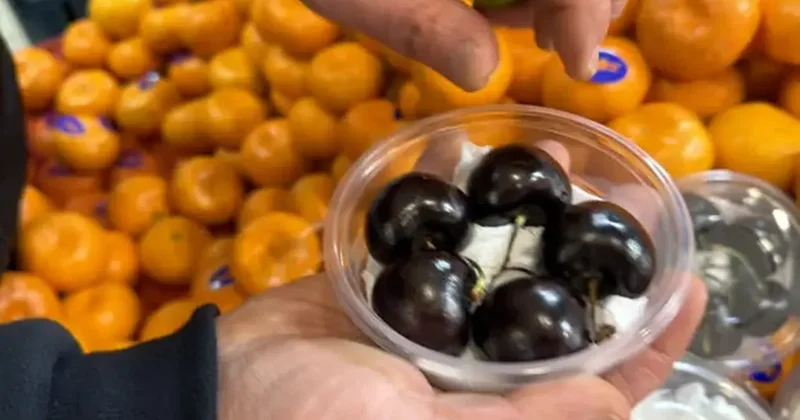 Aşerenler sıraya girdi! Tanesi 250 lira ama kapış kapış gidiyor!