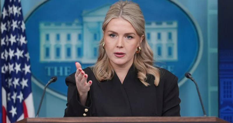 Grönland için askeri seçenek masada Dış Haberler