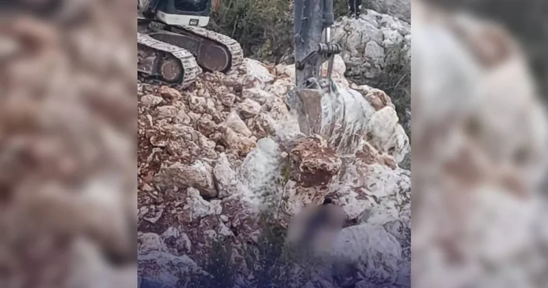 20 yaşındaki genç feci şekilde can verdi! Kayaların altında kaldı