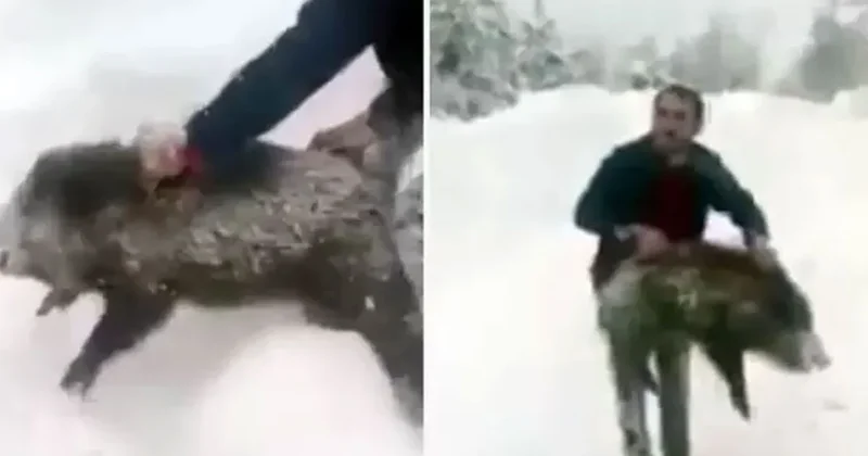 Dünya ağzında sigarasıyla domuz yakalayan Sinoplu Yılmaz ı konuşuyor Sözcü Gazetesi