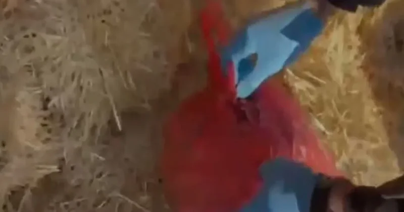 Uyuşturucu saman balyalarından çıktı: 3 gözaltı