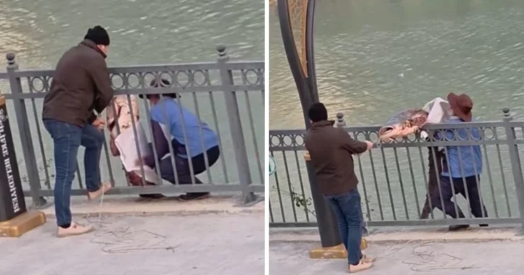 Mersin de amatör balıkçının oltasına takıldı: Kendisi çıkaramayınca çevredekiler yardım etti