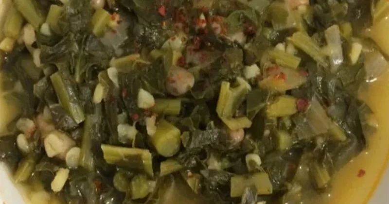 Süt ürünlerinin hepsini geride bıraktı: Kemikleri beton gibi yapıyor Sözcü Gazetesi