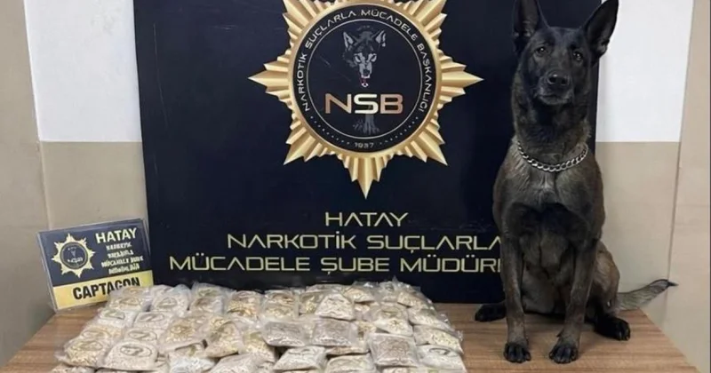 Zeytinyağı tenekelerinden 100 bin uyuşturucu hap çıktı