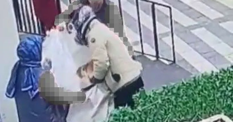 Hamile kediyi çuvala koydular!