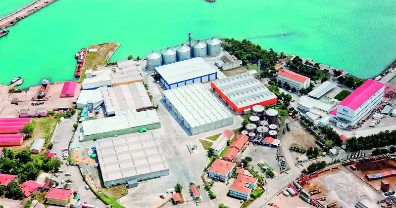 Serbest bölgelerde bulunan üstyapılar Hazine ye geçiyor Ekonomi Haberleri